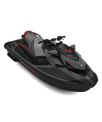 2025 GTX Limited 300