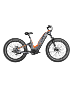 Heybike - Hero Carbon Fiber Ebike