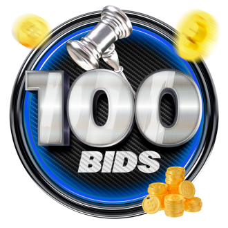 Pack 100 Bids