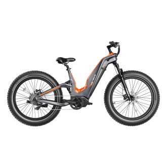 Heybike - Hero Carbon Fiber Ebike